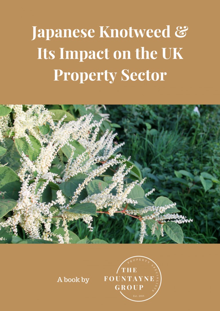 Japanese Knotweed & Its Impact on the UK Property Sector